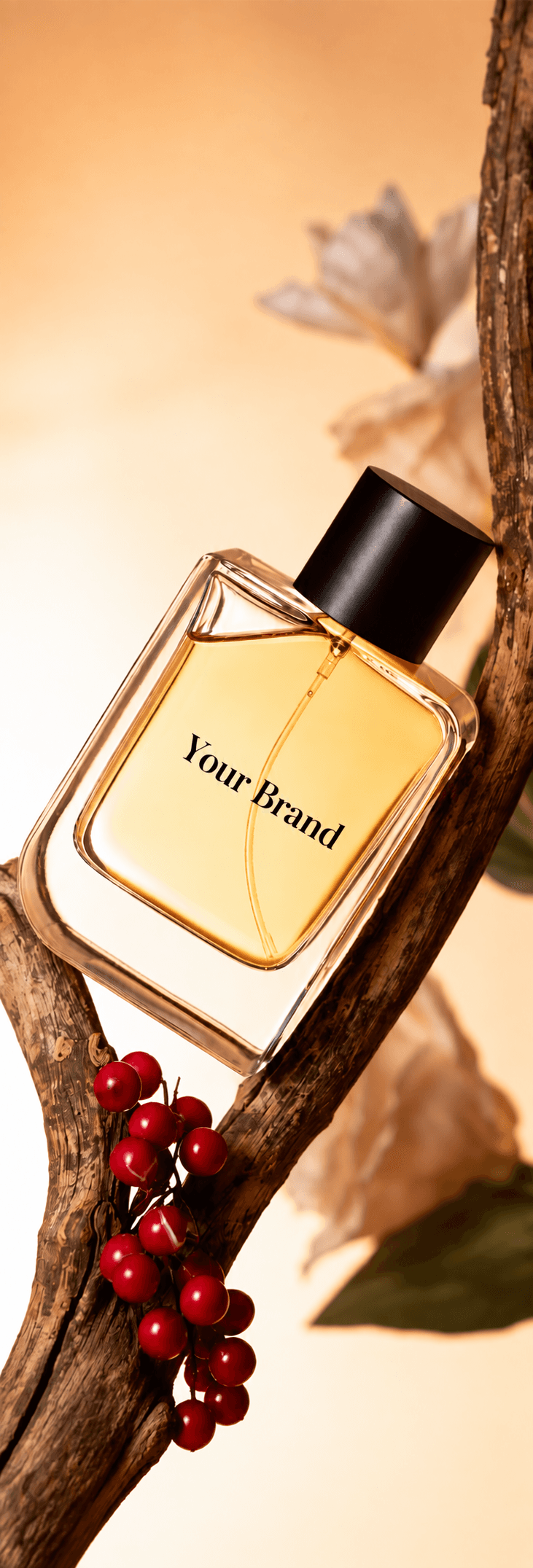 Beauty and Skincare