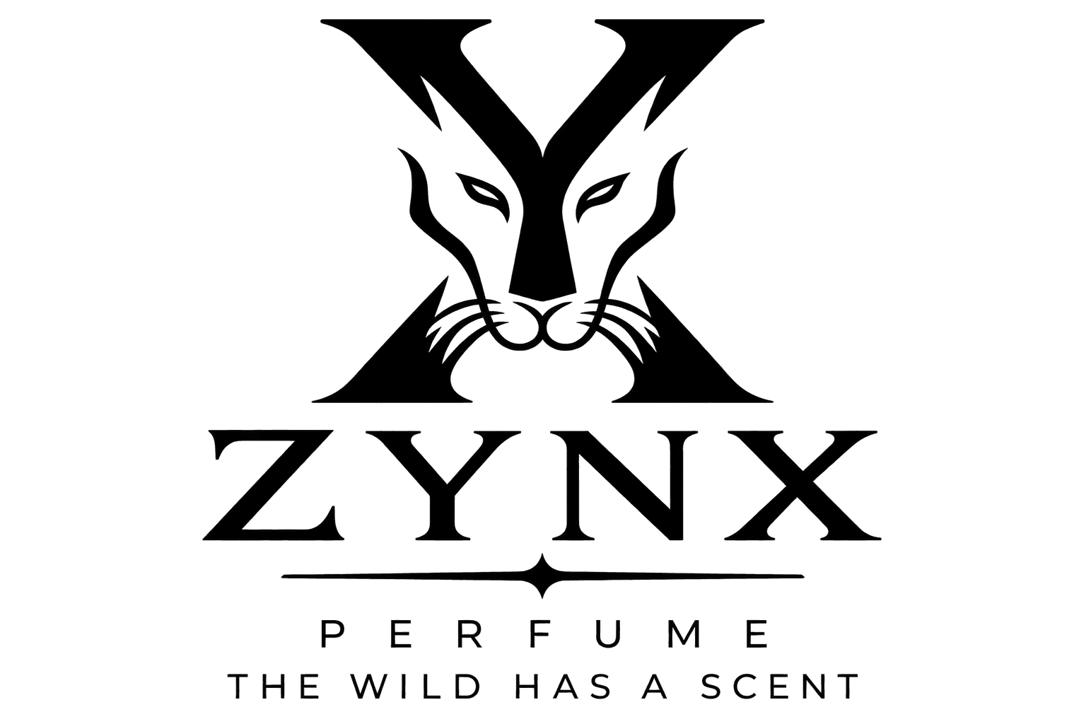 Brand logo 6